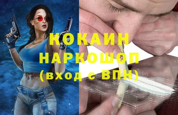 амф Няндома