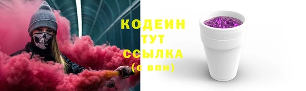 амф Няндома
