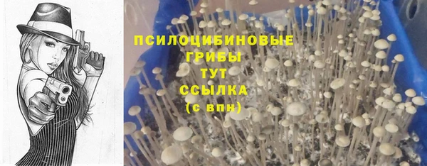 a pvp Нягань
